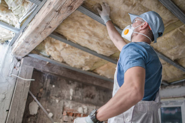 Best Insulation Materials and Products in Burnham, IL